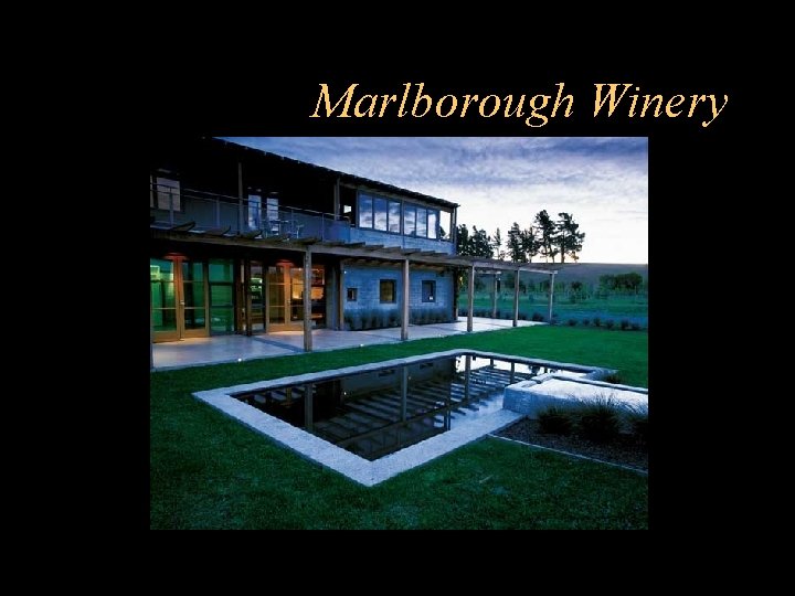 Marlborough Winery 