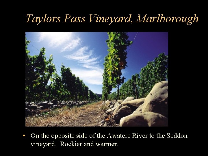 Taylors Pass Vineyard, Marlborough • On the opposite side of the Awatere River to