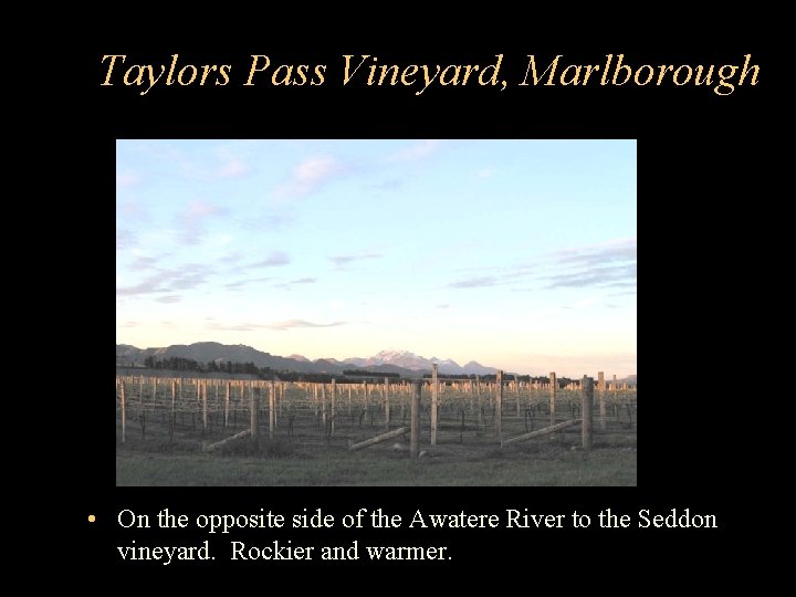 Taylors Pass Vineyard, Marlborough • On the opposite side of the Awatere River to