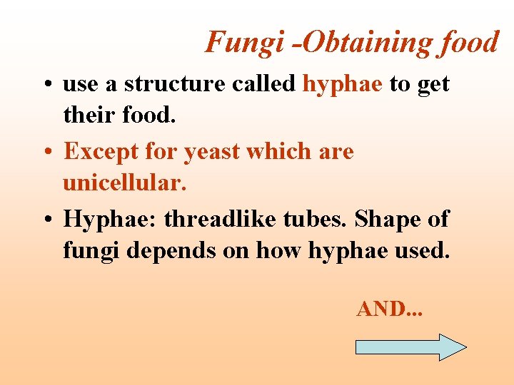 Fungi -Obtaining food • use a structure called hyphae to get their food. •