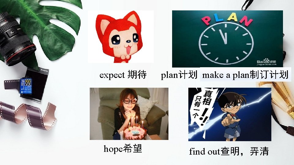 expect 期待 hope希望 plan计划 make a plan制订计划 find out查明，弄清 
