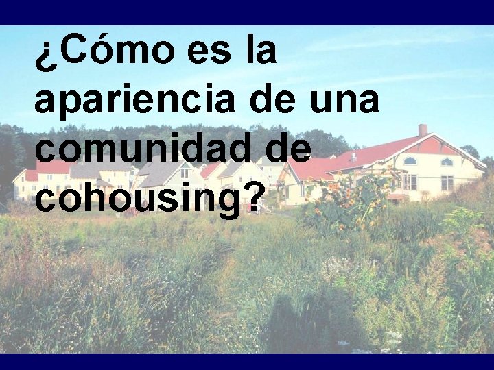 ¿Cómo es la apariencia de una comunidad de cohousing? 