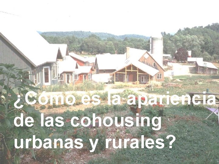 ¿Cómo es la apariencia de las cohousing urbanas y rurales? 