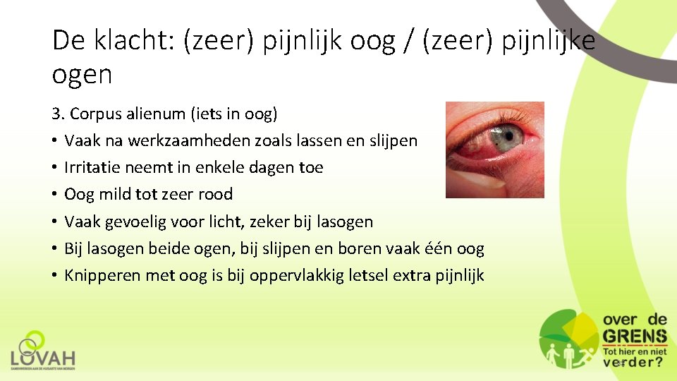 De klacht: (zeer) pijnlijk oog / (zeer) pijnlijke ogen 3. Corpus alienum (iets in