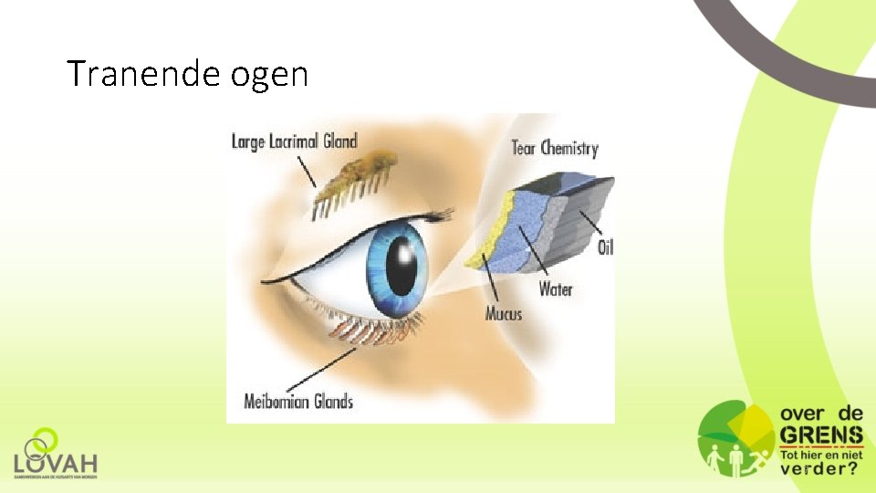 Tranende ogen 7 