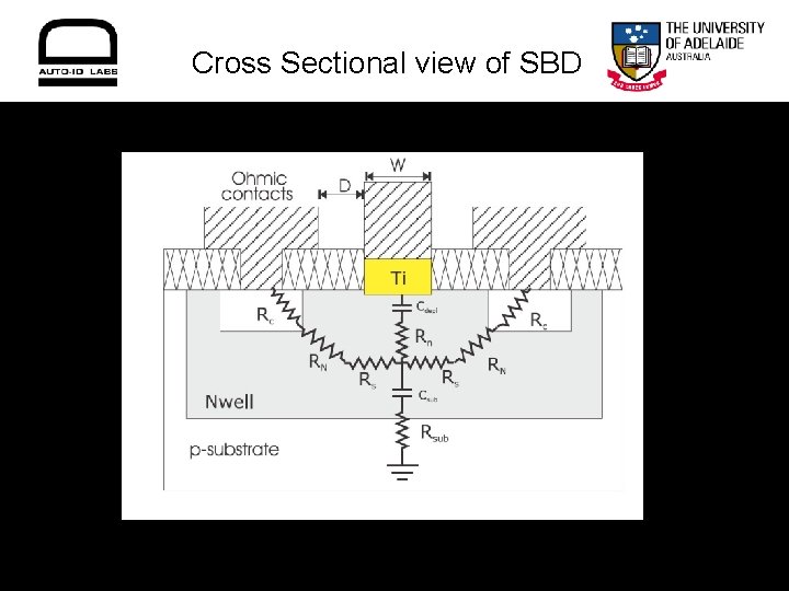 Cross Sectional view of SBD 