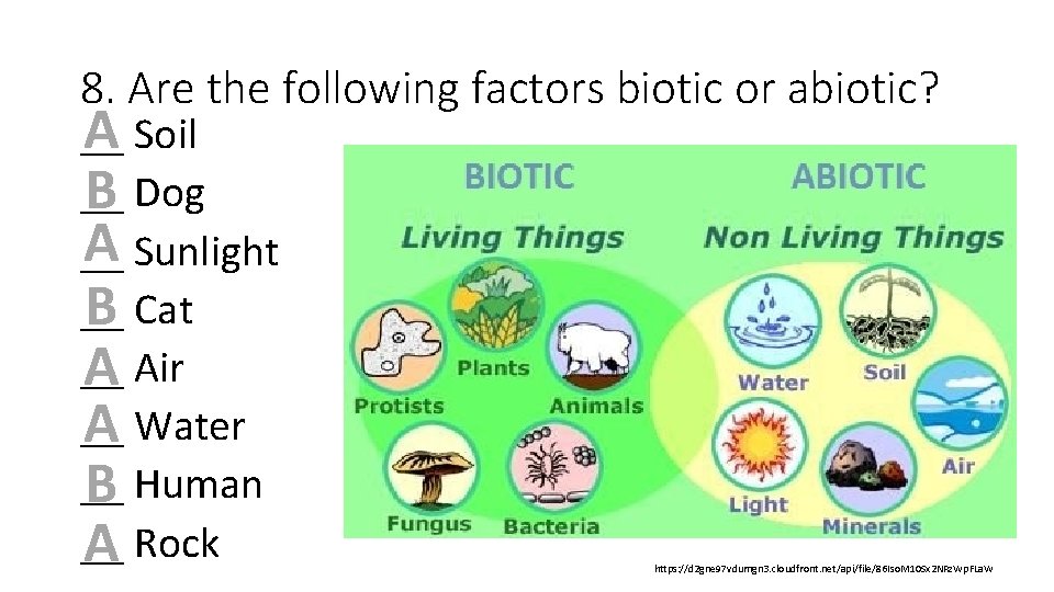 8. Are the following factors biotic or abiotic? A Soil __ __ B Dog