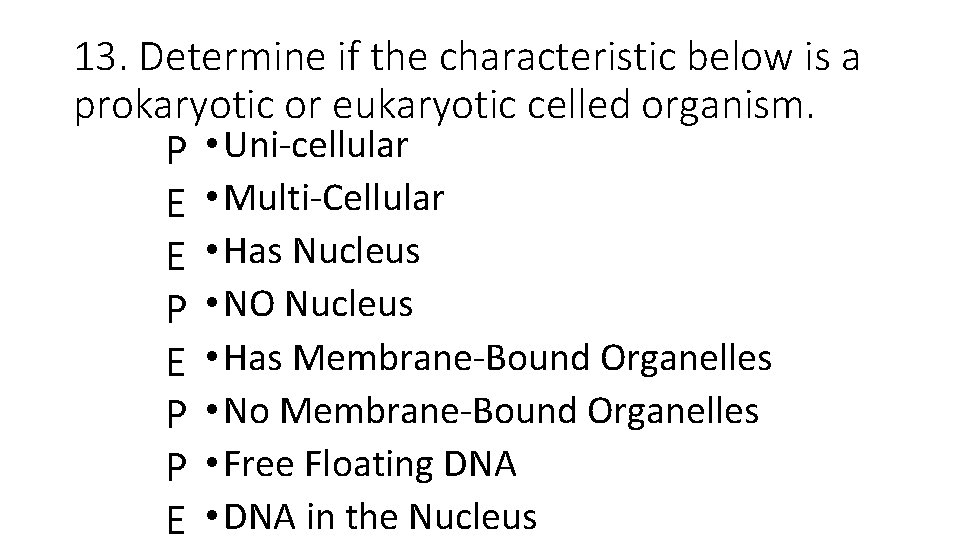 13. Determine if the characteristic below is a prokaryotic or eukaryotic celled organism. P