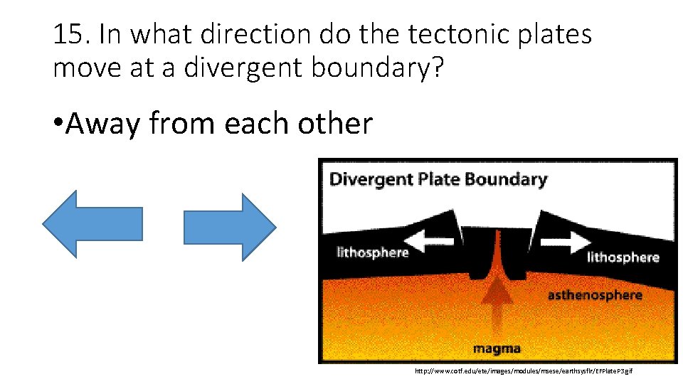 15. In what direction do the tectonic plates move at a divergent boundary? •