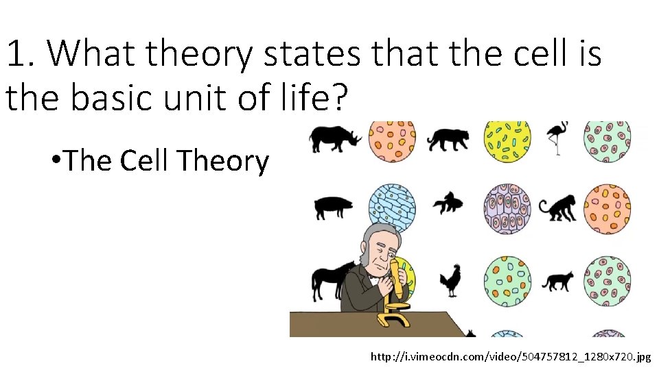 1. What theory states that the cell is the basic unit of life? •