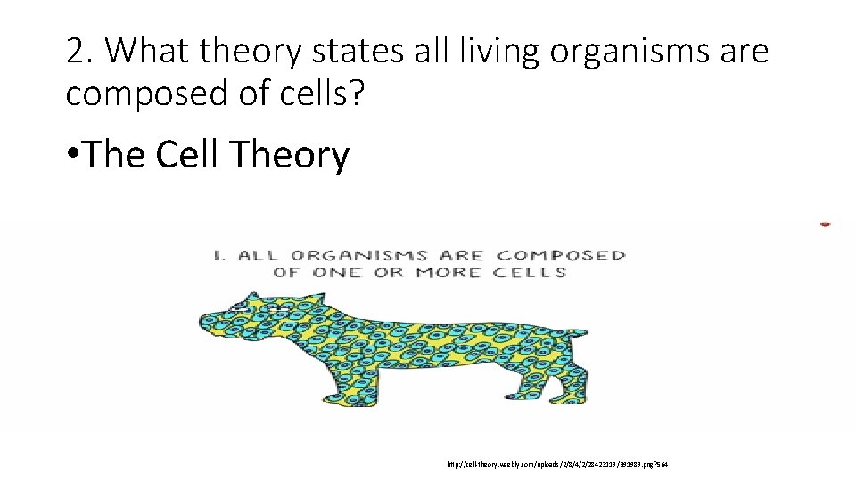 2. What theory states all living organisms are composed of cells? • The Cell