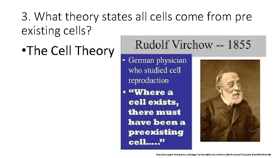 3. What theory states all cells come from pre existing cells? • The Cell