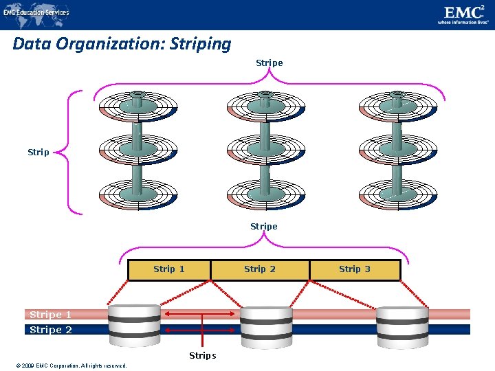 Data Organization: Striping Stripe Strip 1 Strip 2 Stripe 1 Stripe 2 Strips ©