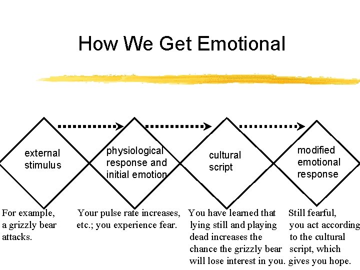 How We Get Emotional external stimulus For example, a grizzly bear attacks. physiological response