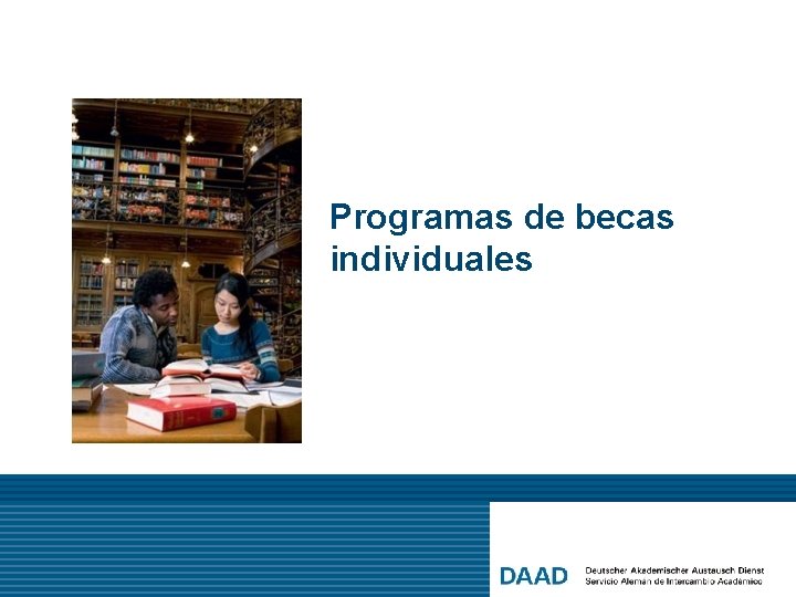 Programas de becas individuales 