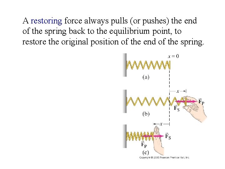 A restoring force always pulls (or pushes) the end of the spring back to