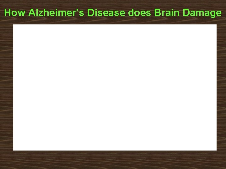How Alzheimer’s Disease does Brain Damage 