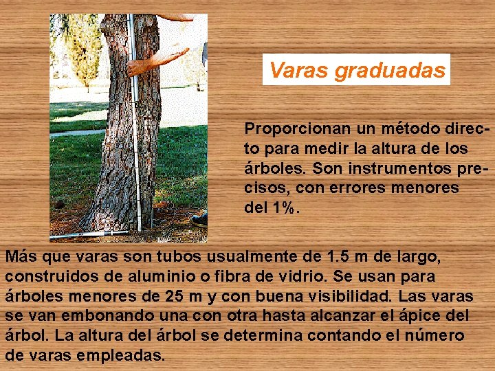 Varas graduadas Proporcionan un método directo para medir la altura de los árboles. Son Varas graduadas Proporcionan un método directo para medir la altura de los árboles. Son