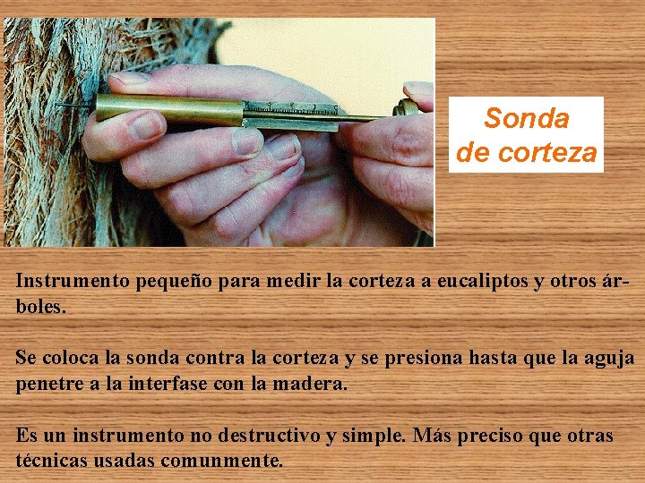 Sonda de corteza Instrumento pequeño para medir la corteza a eucaliptos y otros árboles. Sonda de corteza Instrumento pequeño para medir la corteza a eucaliptos y otros árboles.