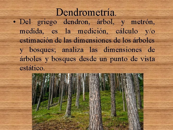 Dendrometría. • Del griego dendron, árbol, y metrón, medida, es la medición, cálculo y/o Dendrometría. • Del griego dendron, árbol, y metrón, medida, es la medición, cálculo y/o
