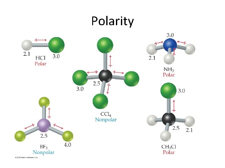 Polarity 