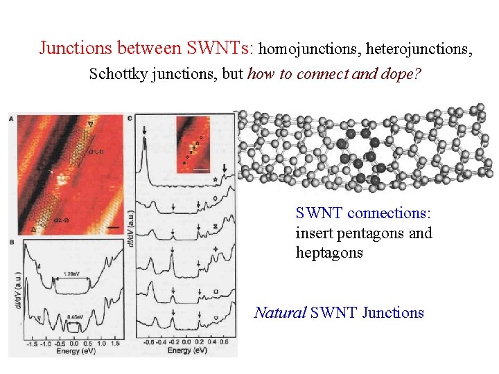 Junctions between SWNTs: homojunctions, heterojunctions, Schottky junctions, but how to connect and dope? SWNT
