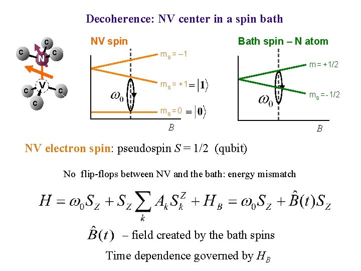 Decoherence: NV center in a spin bath NV spin C C N V C