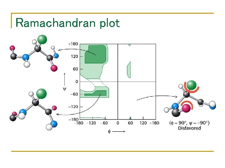 Ramachandran plot 