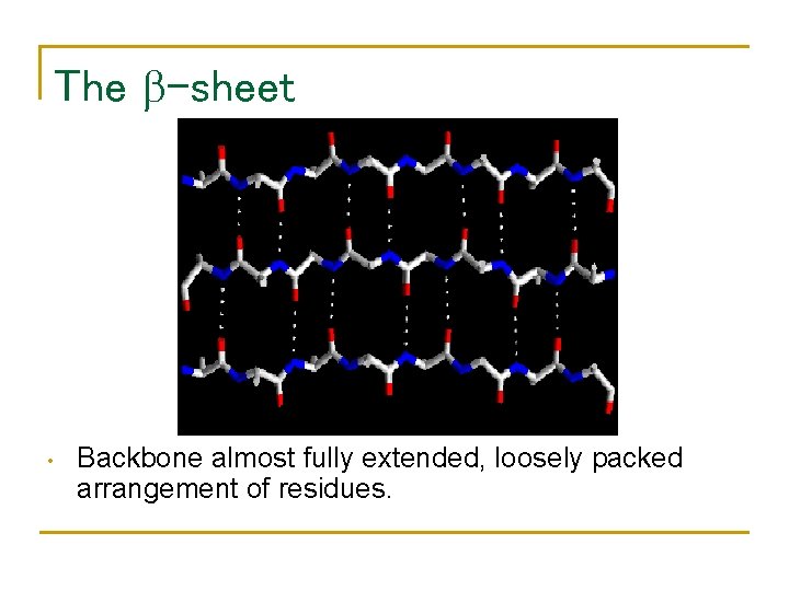 The -sheet • Backbone almost fully extended, loosely packed arrangement of residues. 