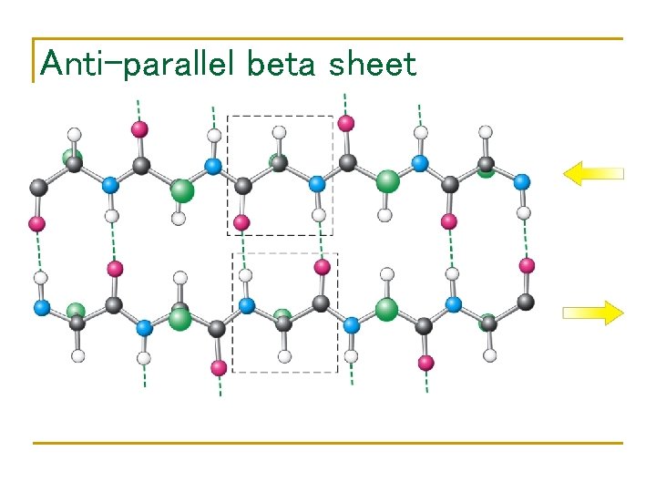 Anti-parallel beta sheet 