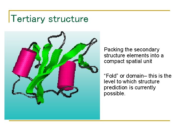 Tertiary structure • Packing the secondary structure elements into a compact spatial unit •