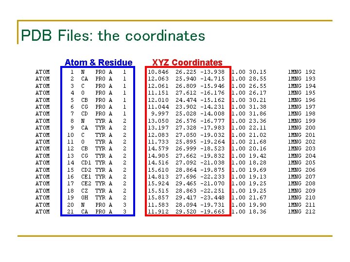 PDB Files: the coordinates Atom & Residue ATOM ATOM ATOM ATOM ATOM ATOM 1