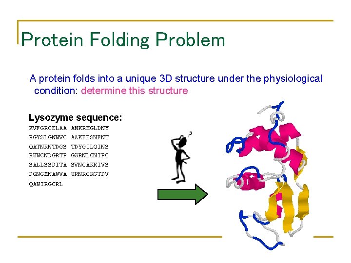 Protein Folding Problem A protein folds into a unique 3 D structure under the