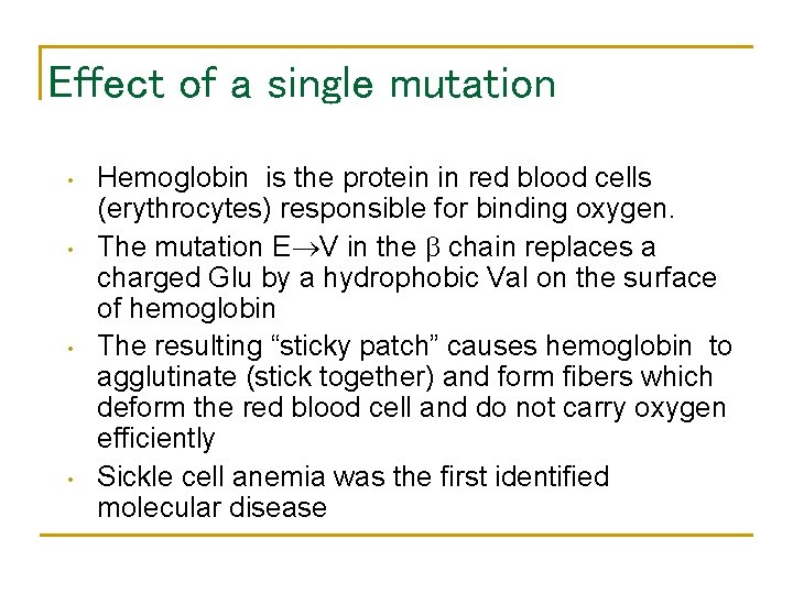 Effect of a single mutation • • Hemoglobin is the protein in red blood