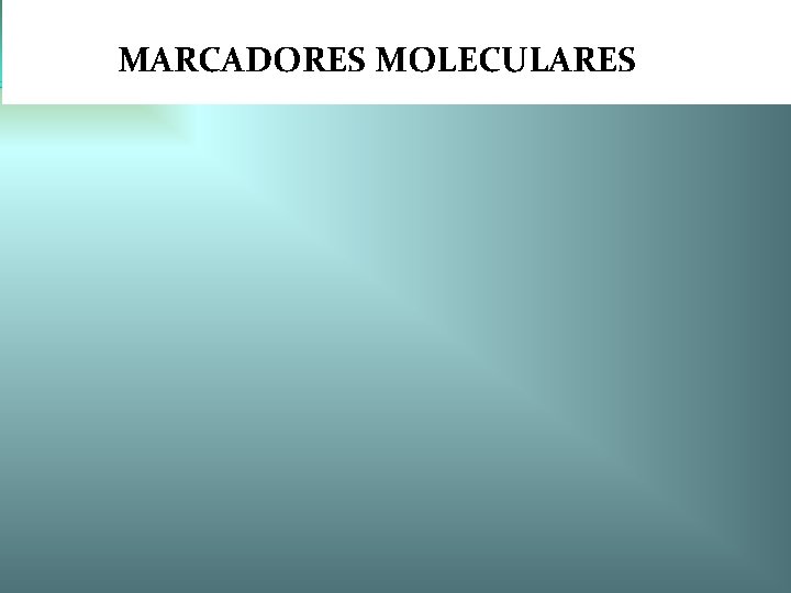 ~vamvãmfal MARCADORES MOLECULARES 