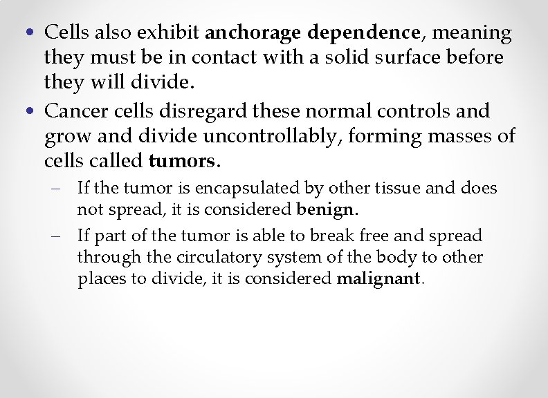  • Cells also exhibit anchorage dependence, meaning they must be in contact with