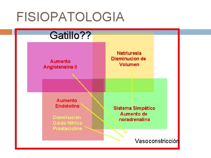 FISIOPATOLOGIA Gatillo? ? Aumento Angiotensina II Aumento Endotelina Disminucion Oxido Nitrico Prostaciclina Natriuresis Disminucion