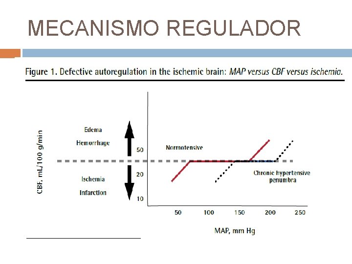 MECANISMO REGULADOR 