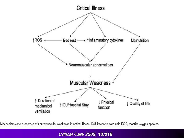 Critical Care 2009, 13: 216 