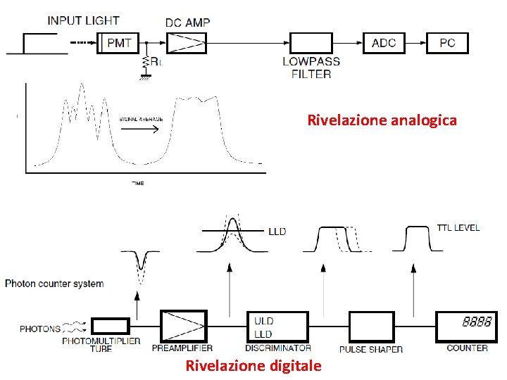 Rivelazione analogica Rivelazione digitale 