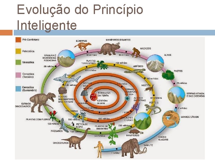 Evolução do Princípio Inteligente 