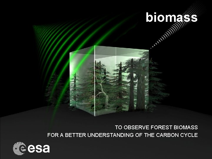 biomass TO OBSERVE FOREST BIOMASS FOR A BETTER UNDERSTANDING OF THE CARBON CYCLE 