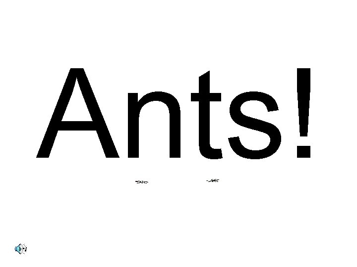 Ants! 