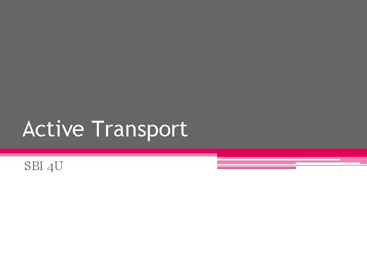 Active Transport SBI 4 U 