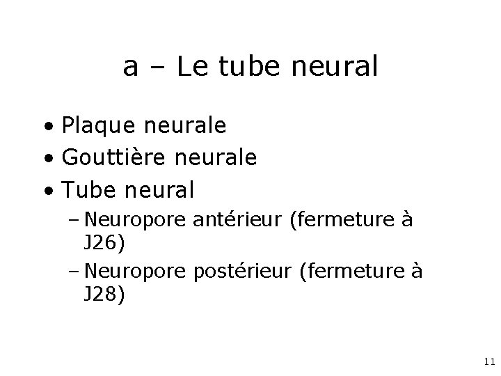 a – Le tube neural • Plaque neurale • Gouttière neurale • Tube neural