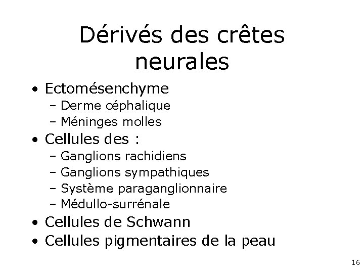 Dérivés des crêtes neurales • Ectomésenchyme – Derme céphalique – Méninges molles • Cellules