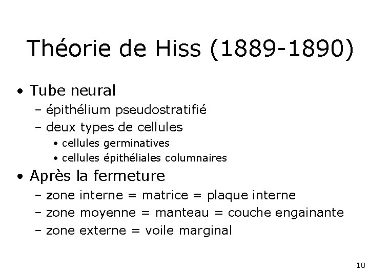 Théorie de Hiss (1889 -1890) • Tube neural – épithélium pseudostratifié – deux types