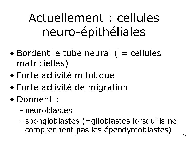 Actuellement : cellules neuro-épithéliales • Bordent le tube neural ( = cellules matricielles) •