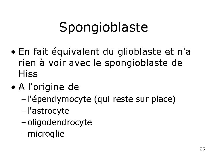 Spongioblaste • En fait équivalent du glioblaste et n'a rien à voir avec le