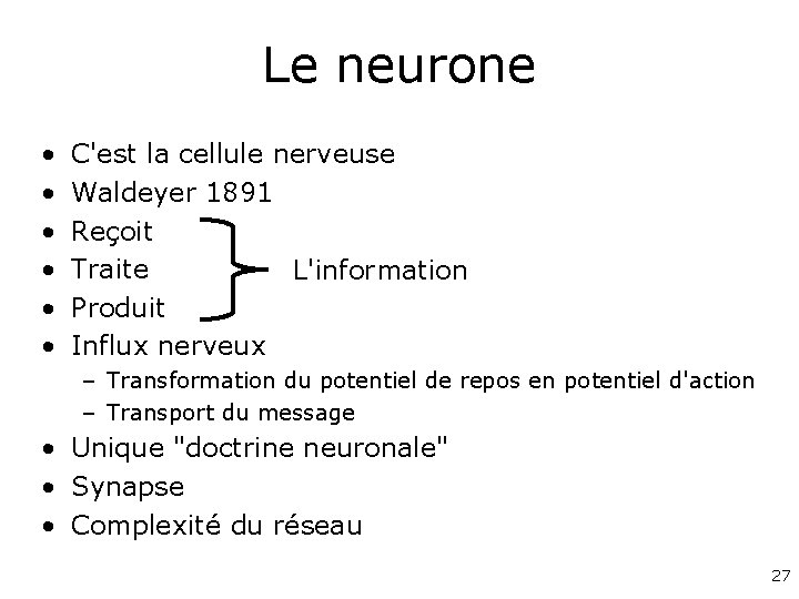 Le neurone • • • C'est la cellule nerveuse Waldeyer 1891 Reçoit Traite L'information
